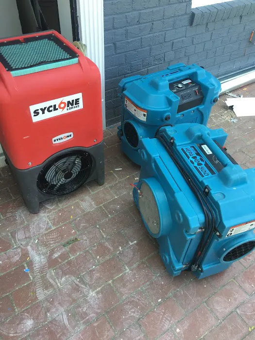 Martin Restorations Picture 8