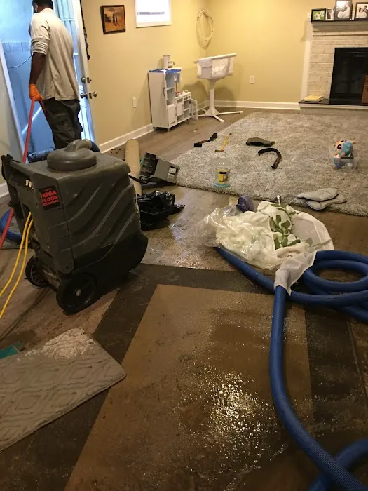 Martin Restorations Picture 6