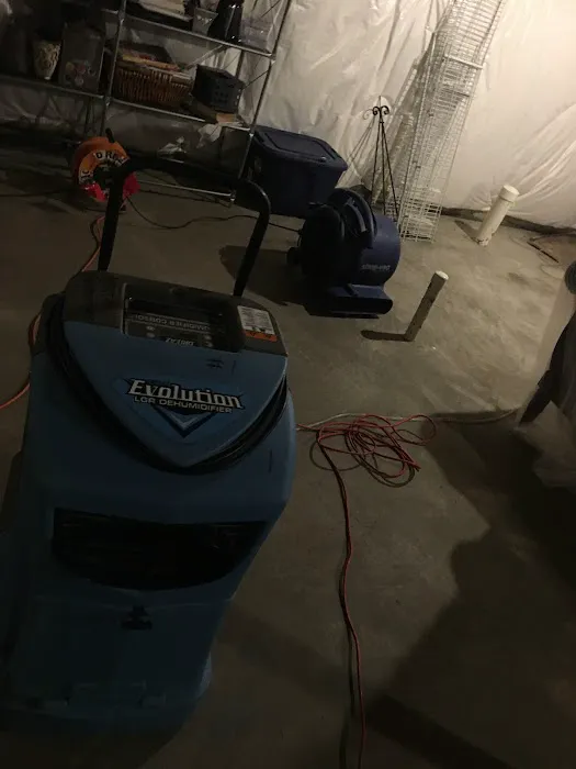 Martin Restorations Picture 7