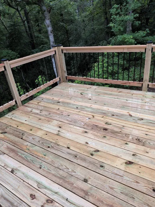 Lion Restoration Picture 1