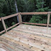 Lion Restoration ico