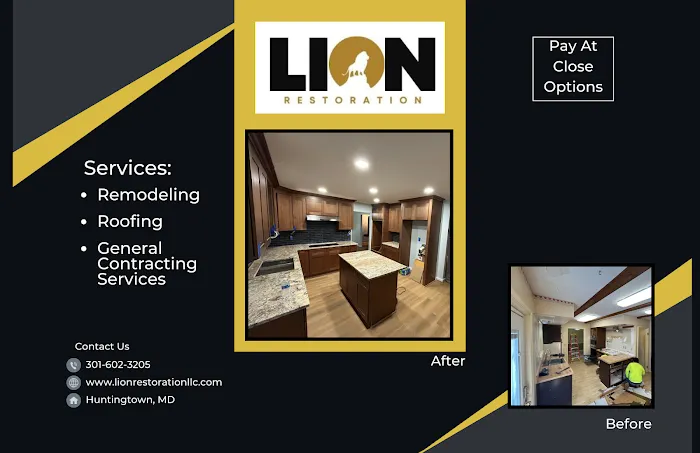 Lion Restoration Picture 3