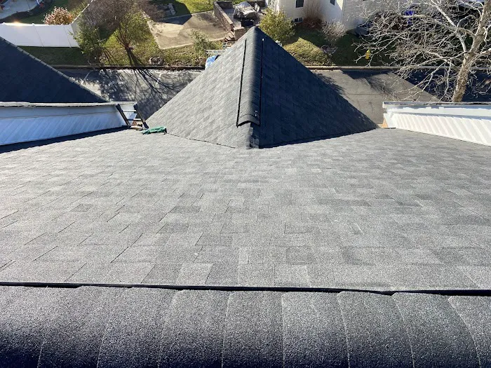 Lion Restoration Picture 4