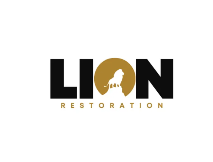 Lion Restoration Picture 2