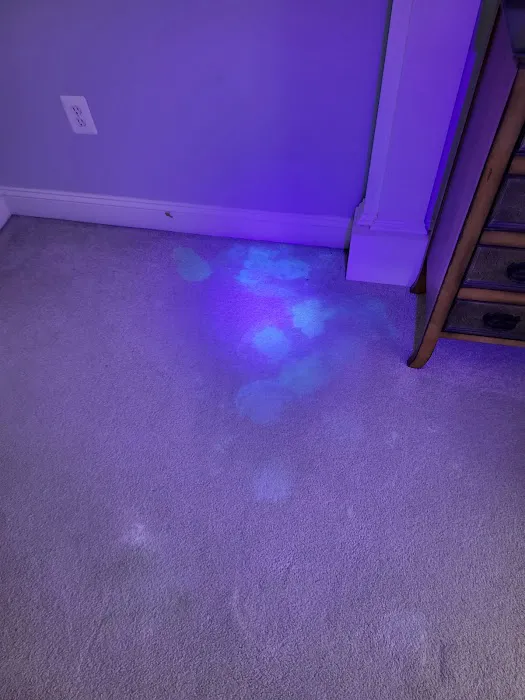 Blue Diamond Floor Care Picture 2