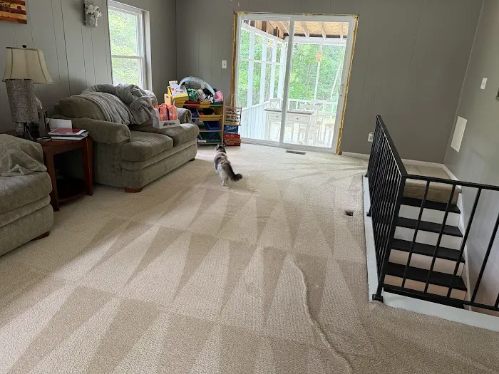 Blue Diamond Floor Care Picture 4