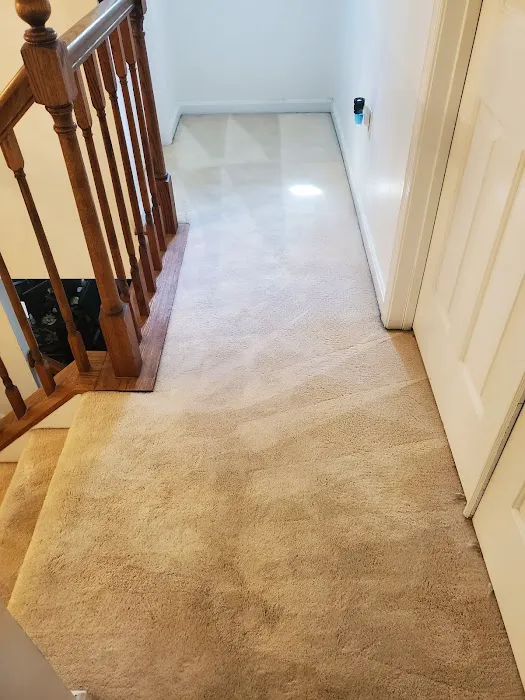 Blue Diamond Floor Care Picture 10