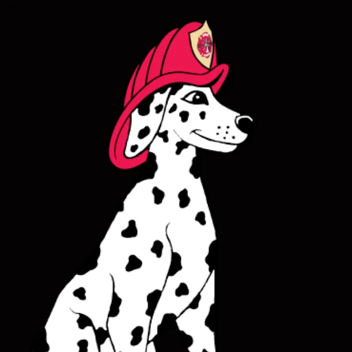 1-800-BoardUp of Delaware Beaches Picture 6