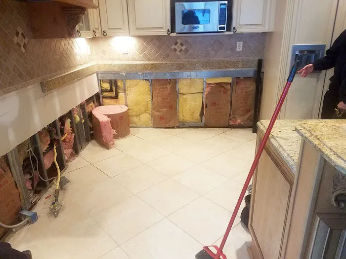 Poseidon Restoration Picture 4