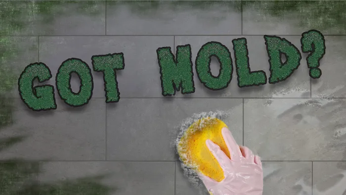 Mold Clean Pro Picture 1