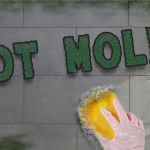Mold Clean Pro