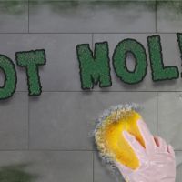 Mold Clean Pro ico