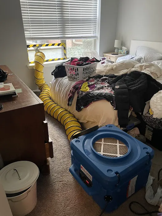 Green Guard Picture 2