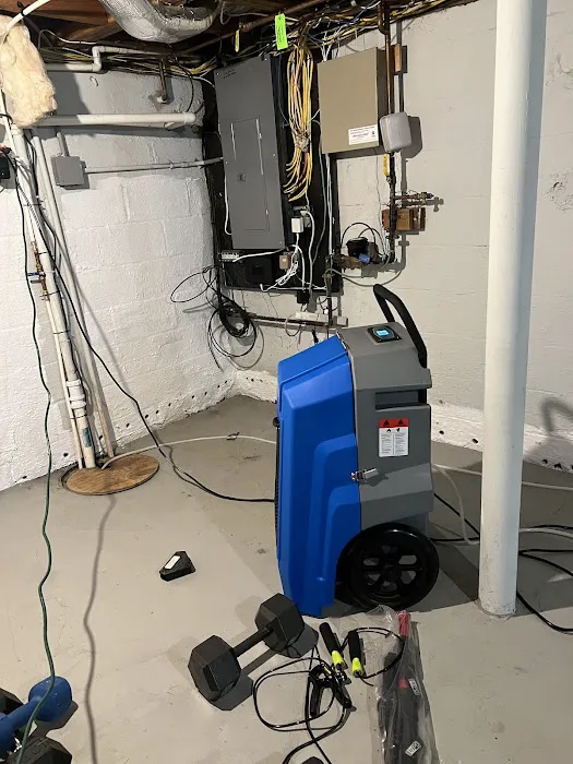 Green Guard Picture 7