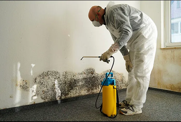 Mold Removal Manhattan Picture 6
