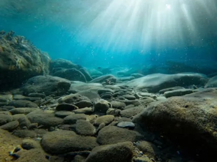 Professional Emergency Picture 2