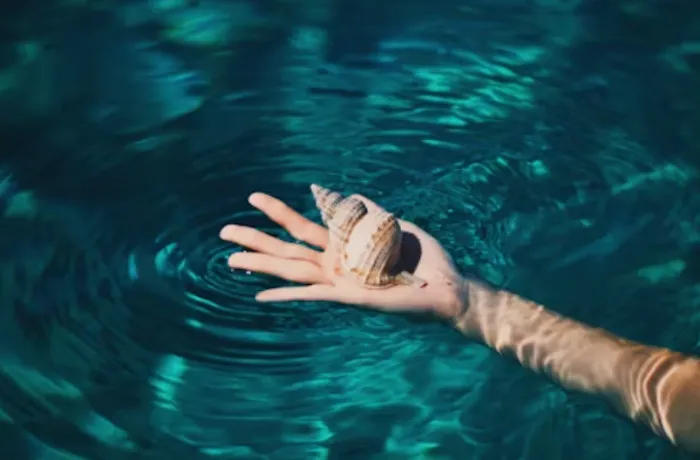 Professional Emergency Picture 4