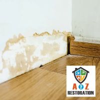 WATER DAMAGE RESTORATION BROOKLYN NY INC ico