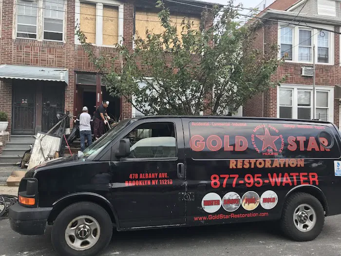 Gold Star Picture 10