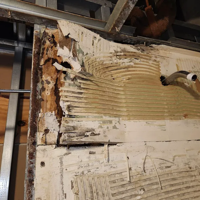 All Season Restoration Picture 4