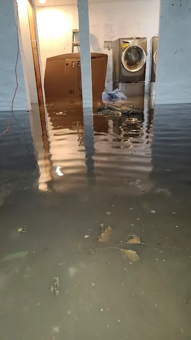 Express NYC Picture 7