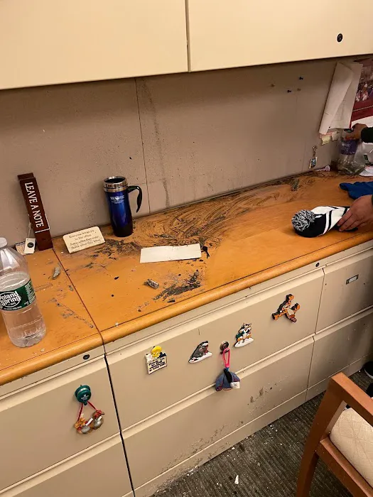 NY Cleanup Picture 5