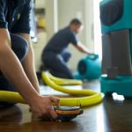 Mold Removal Remediation Brooklyn