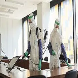 Water Damage Restoration Gerritsen Beach Picture 5