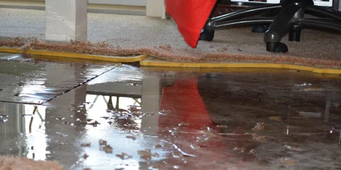 Water Damage Restoration Gerritsen Beach Picture 9