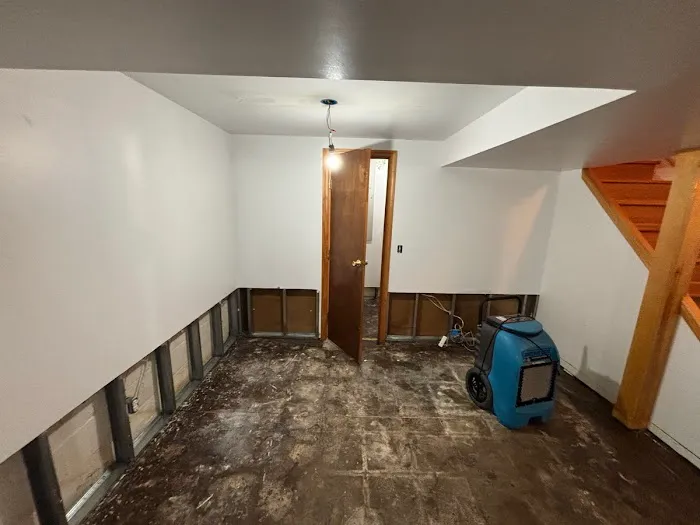 New York Mold Specialist Picture 1