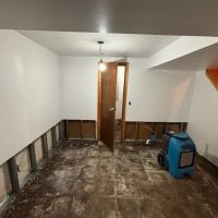 New York Mold Specialist ico