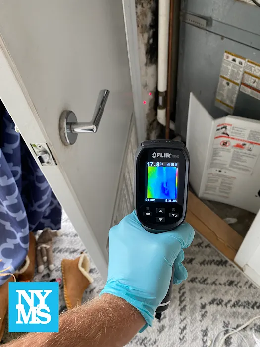 New York Mold Specialist Picture 10