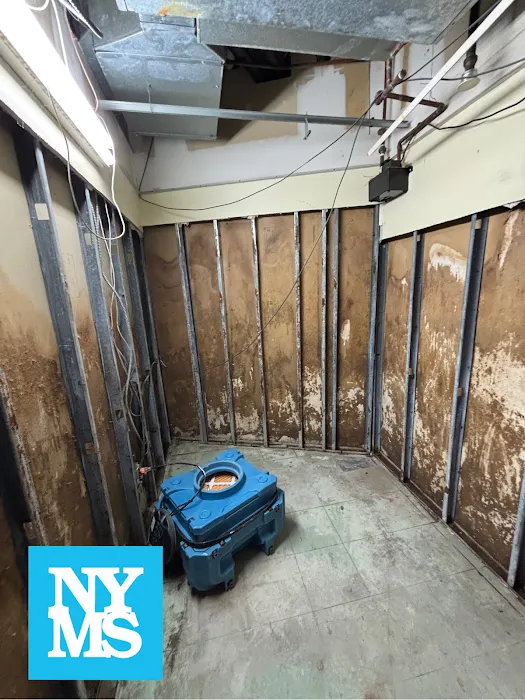 New York Mold Specialist Picture 8