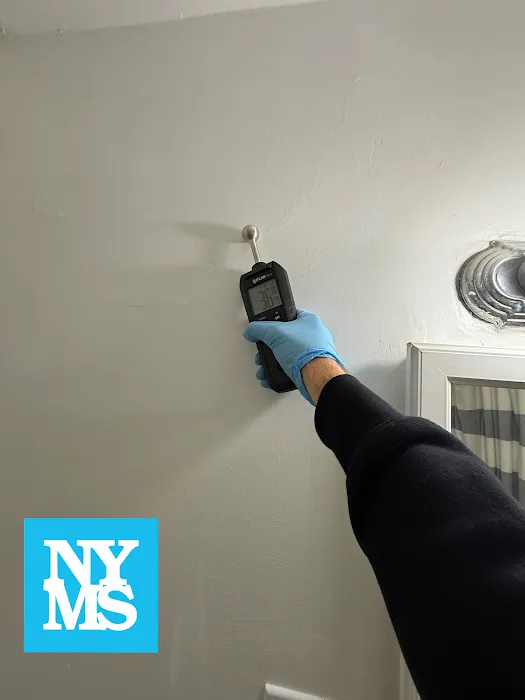 New York Mold Specialist Picture 6