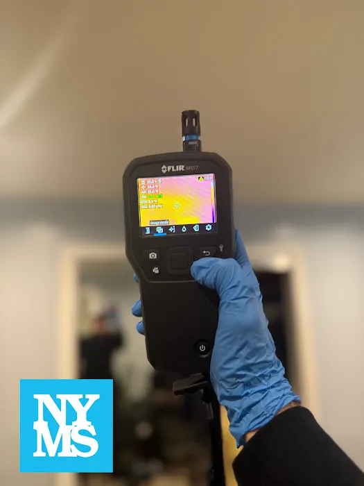 New York Mold Specialist Picture 4