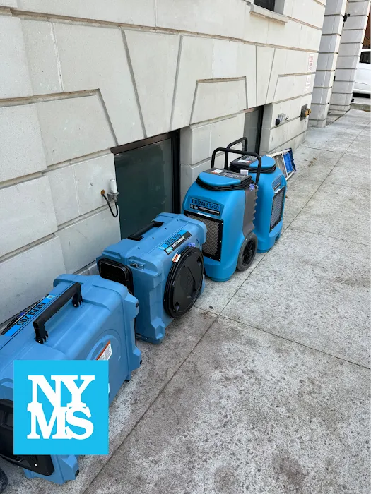 New York Mold Specialist Picture 2