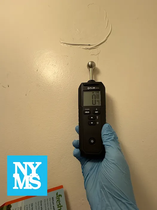 New York Mold Specialist Picture 9