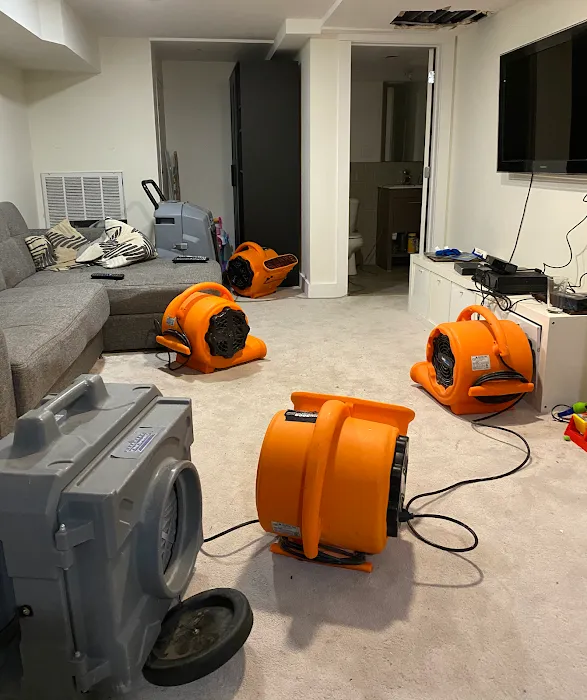 Rainbow Restoration of North Brooklyn Picture 6