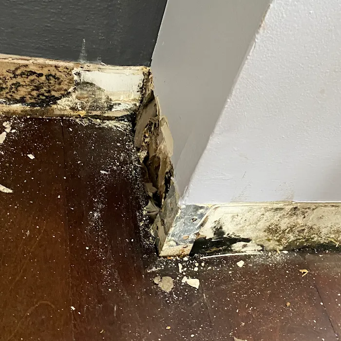 Rainbow Restoration of North Brooklyn Picture 9