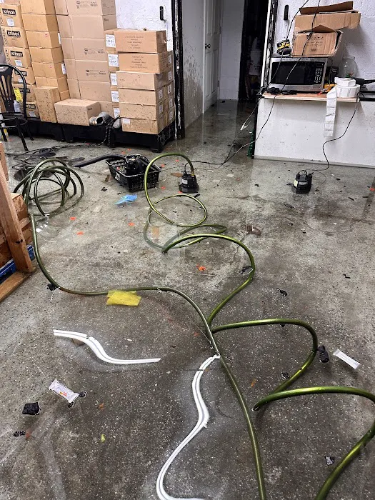 All Star Restoration Picture 9