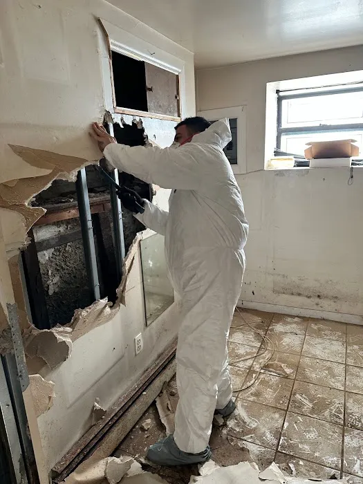 All Star Restoration Picture 6