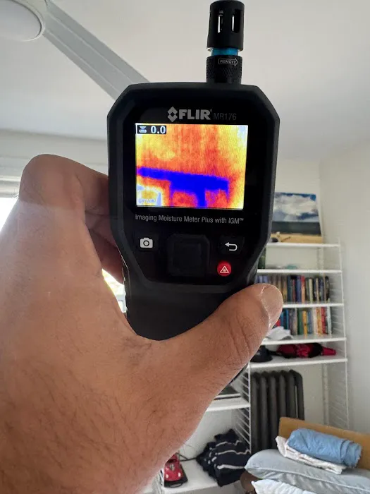 All Star Restoration Picture 5