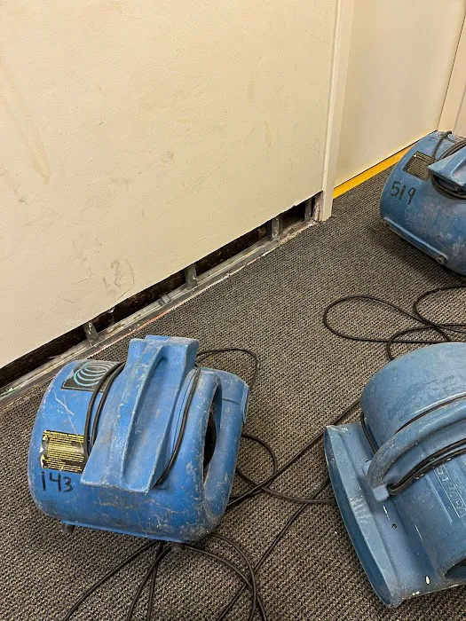 All Star Restoration Picture 3