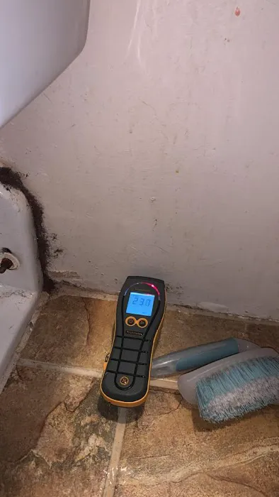 Prime Mold Remediation of Williamsburg Picture 1