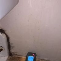 Prime Mold Remediation of Williamsburg ico