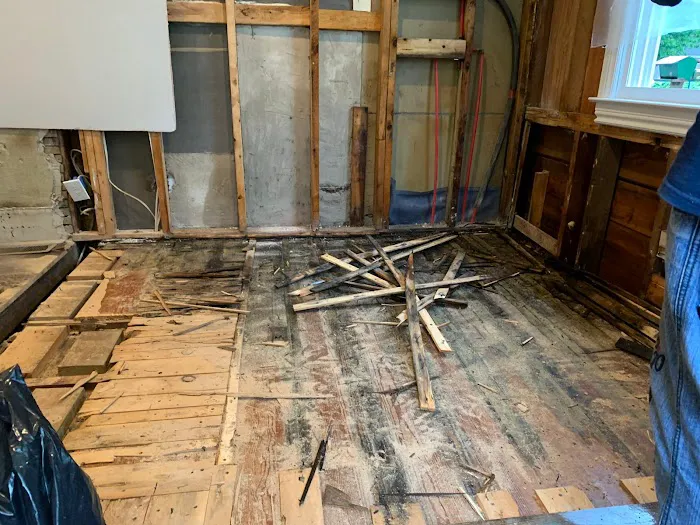 Prime Mold Remediation of Williamsburg Picture 4