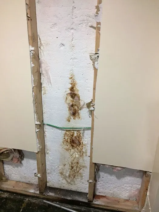 Prime Mold Remediation of Williamsburg Picture 3