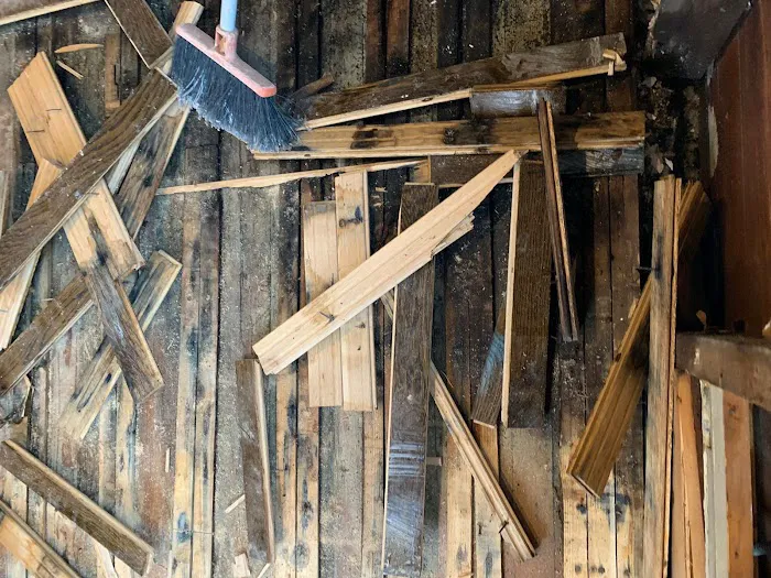 Prime Mold Remediation of Williamsburg Picture 5