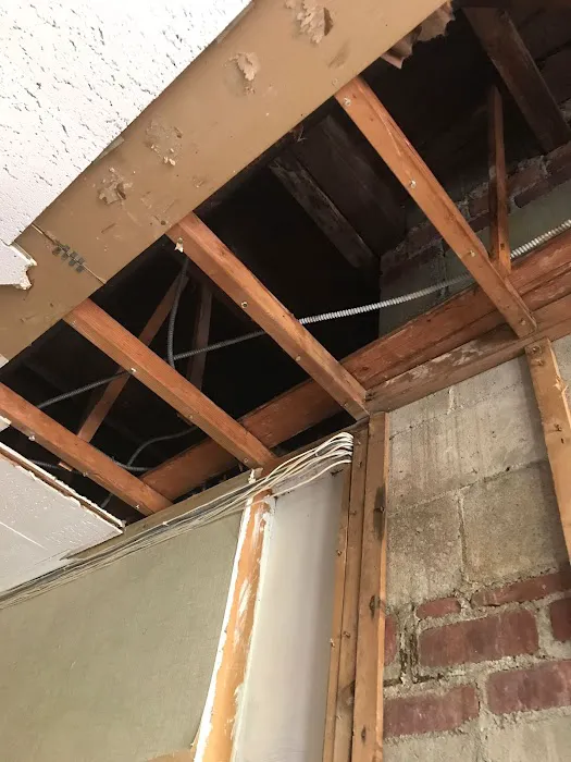 Prime Mold Remediation of Williamsburg Picture 2