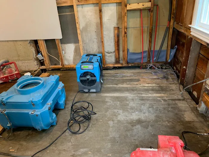 Prime Mold Remediation of Williamsburg Picture 9